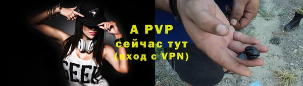 винт Липки