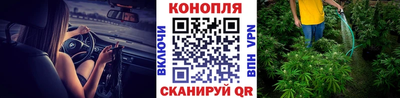 Шишки марихуана OG Kush  Купить  Бердск 